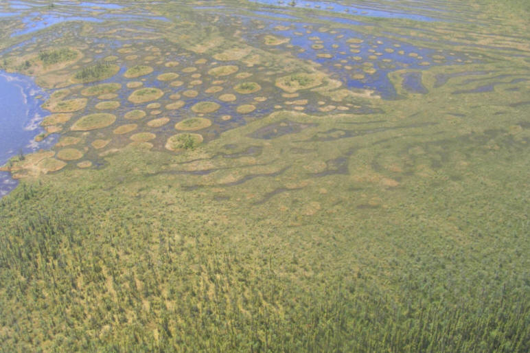 Photo aérienne de la tourbière Cikwanikaci