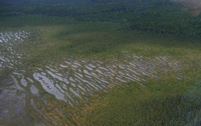 Photo aérienne de la tourbière Cikwanikaci