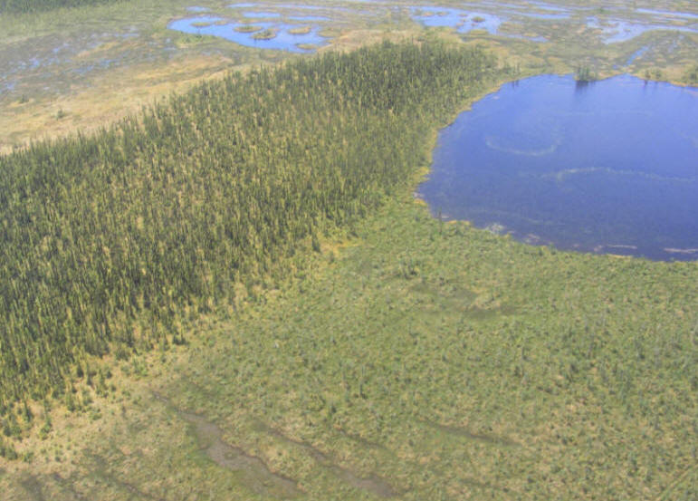 Photo aérienne de la tourbière Cikwanikaci