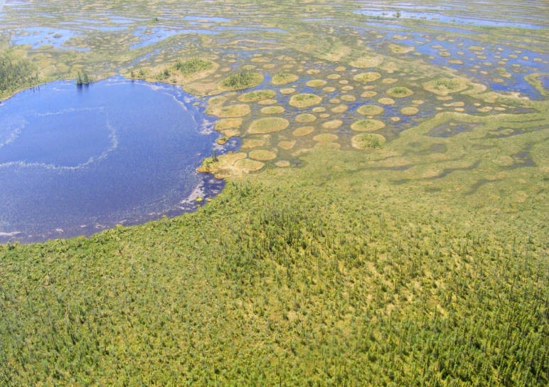 Photo de la tourbière Cikwanikaci prise à partir d'un avion