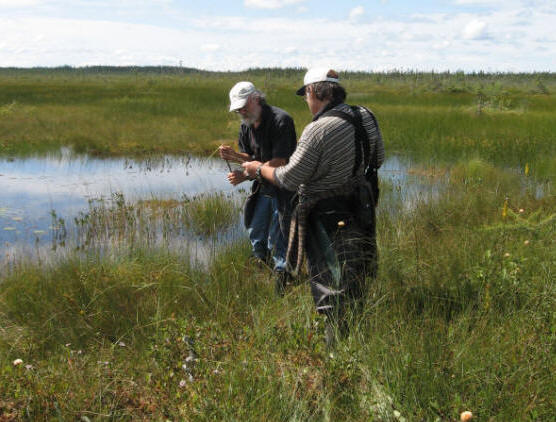 Deux botanistes observant des plantes sur le terrain