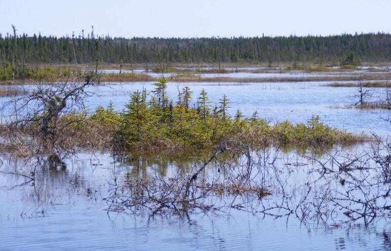 Inondation de la tourbière Cikwanikaci