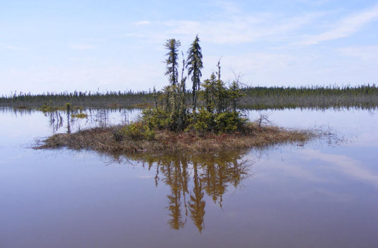 Ile formée par l'inondation