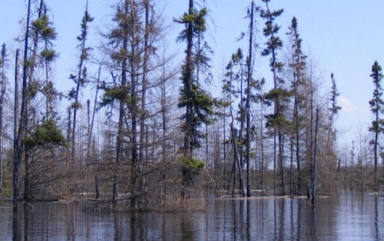 Inondation de la tourbière Cikwanikaci