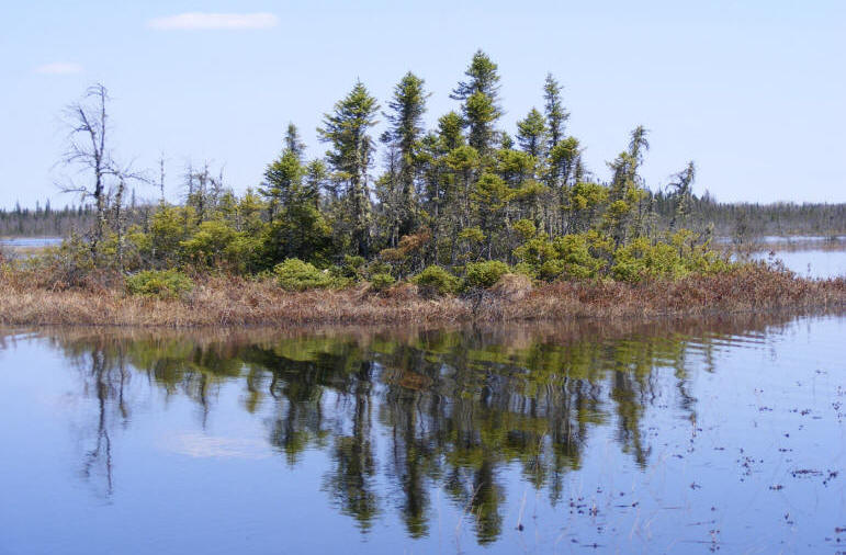 Inondation de la tourbière Cikwanikaci