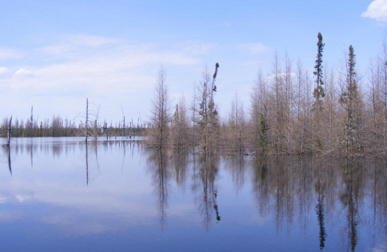 Inondation de la tourbière Cikwanikaci