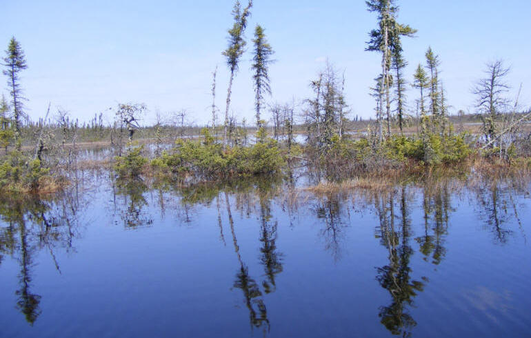 Inondation de la tourbière Cikwanikaci
