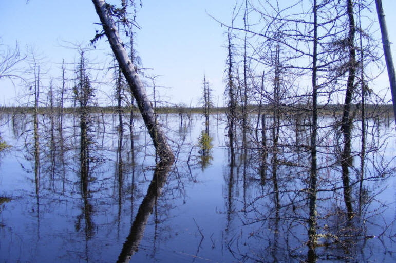 Inondation de la tourbière Cikwanikaci