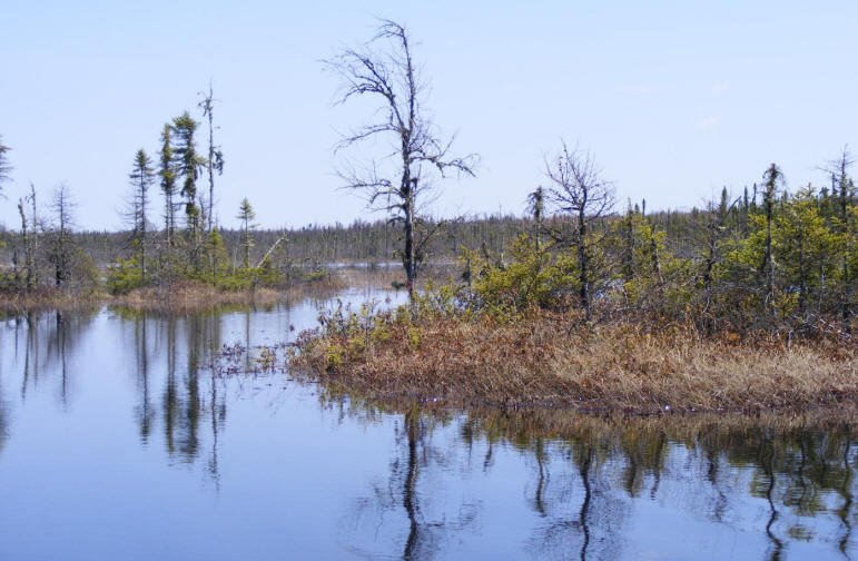 Inondation de la tourbière Cikwanikaci